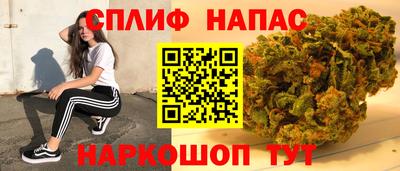 гидра Анжеро-Судженск