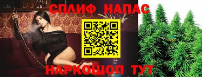 гидра Анжеро-Судженск
