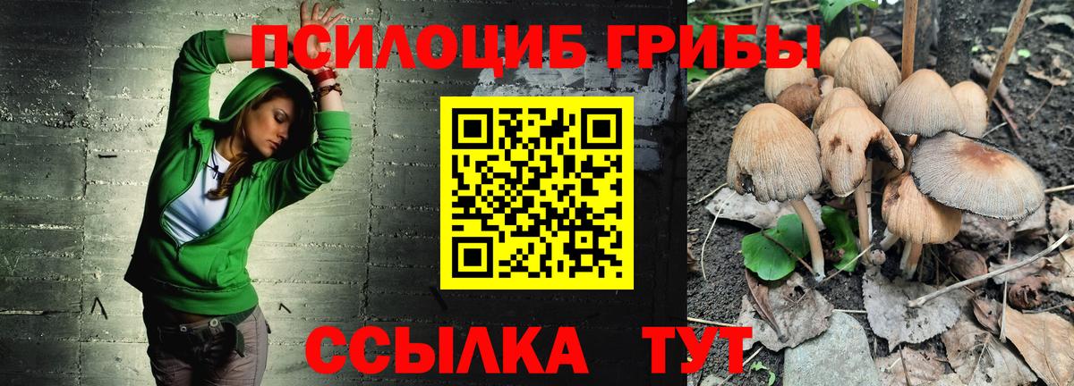 Псилоцибиновые грибы мицелий Луга