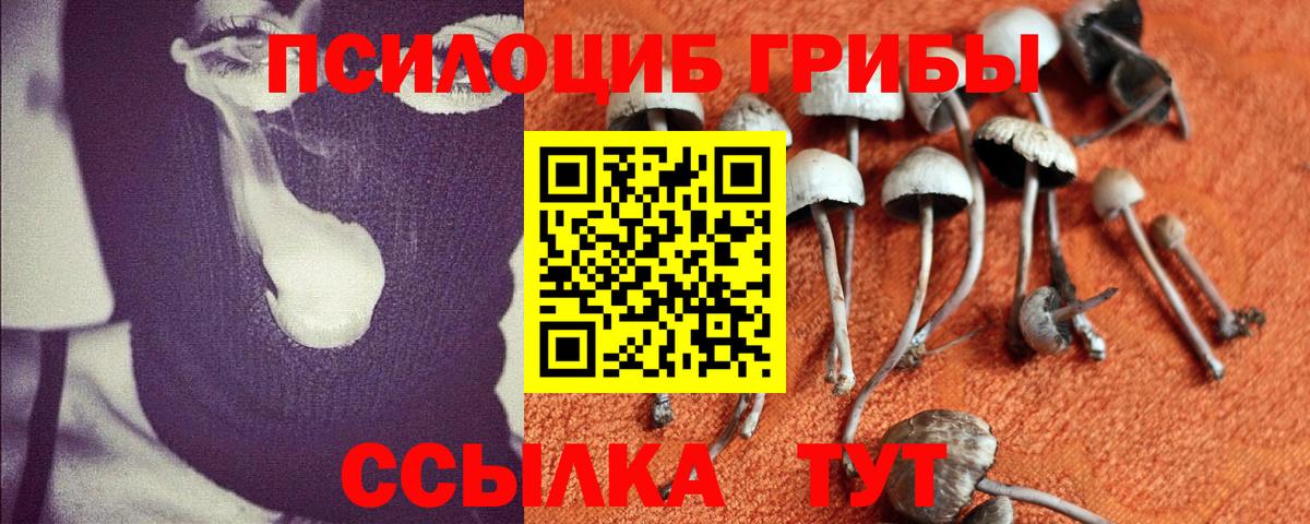 Галлюциногенные грибы мицелий  Вход с VPN  Луга 